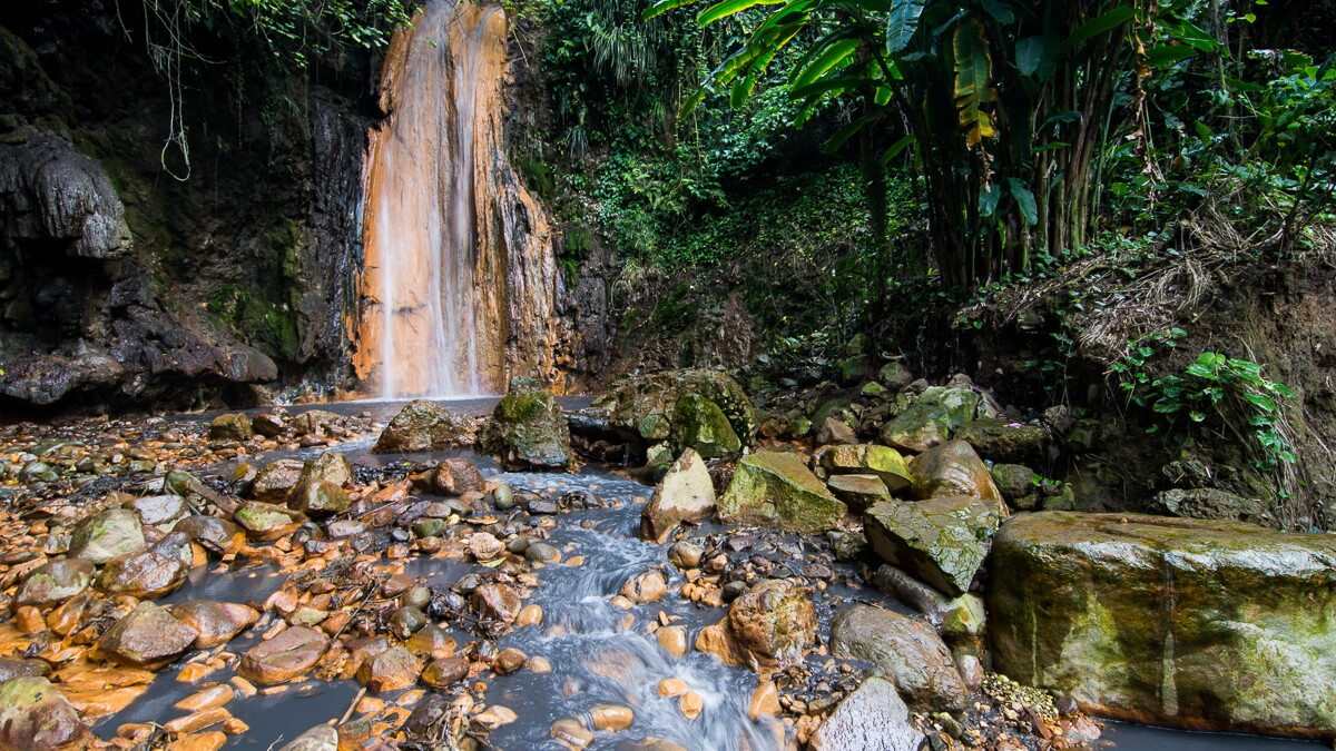 Diamond Botanical Gardens & Waterfall