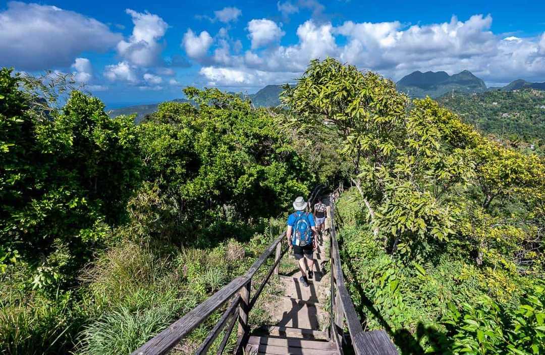Tet Paul Nature Trail and Piton viewpoint